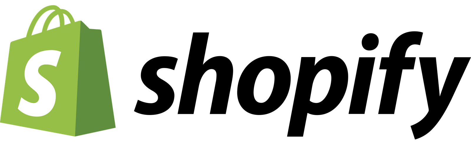 Shopify Partner